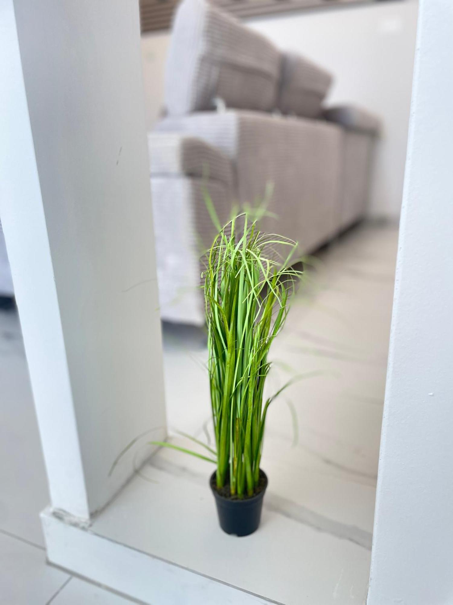 Apartments Tereza Povljana Zewnętrze zdjęcie