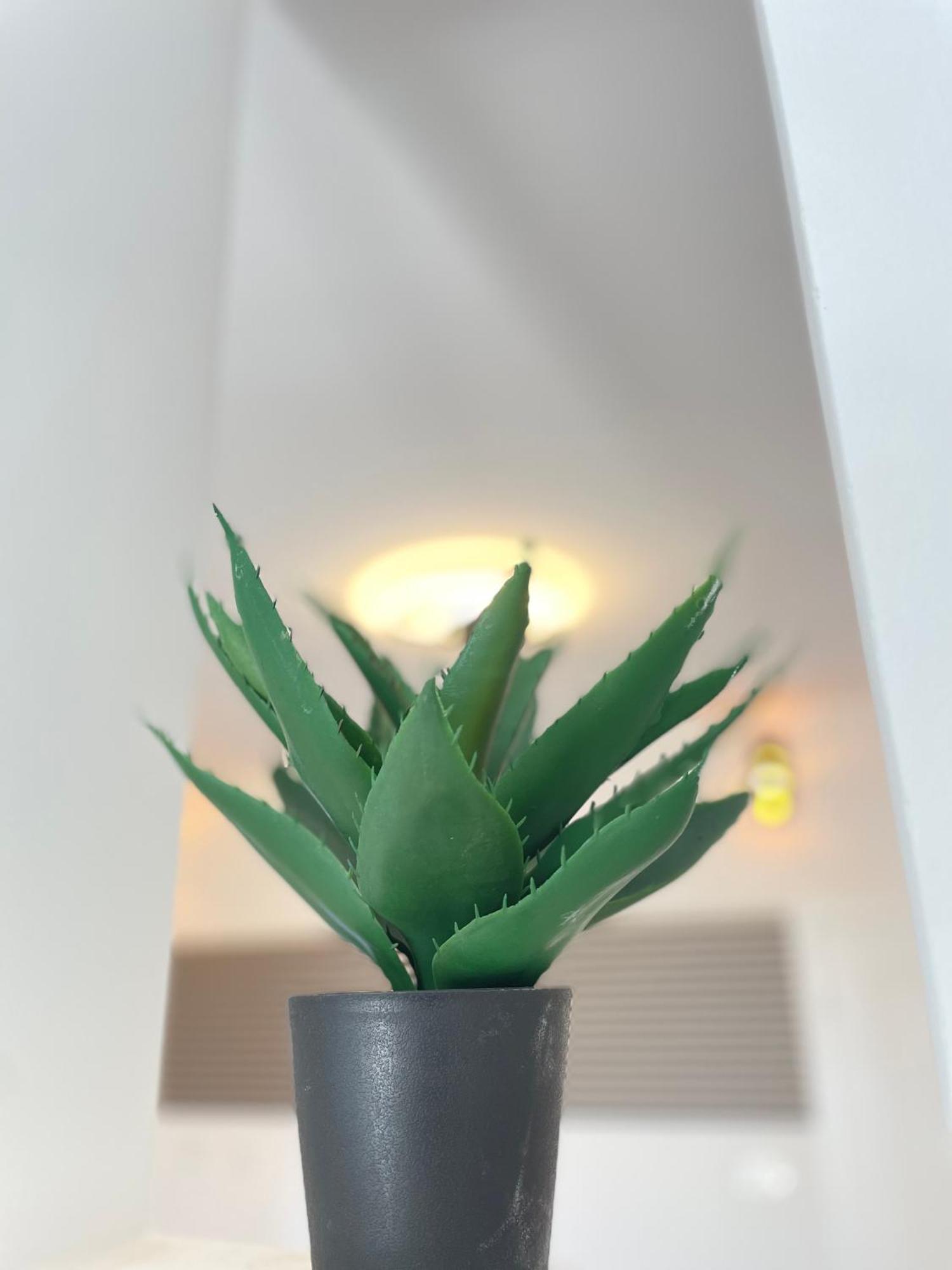 Apartments Tereza Povljana Zewnętrze zdjęcie